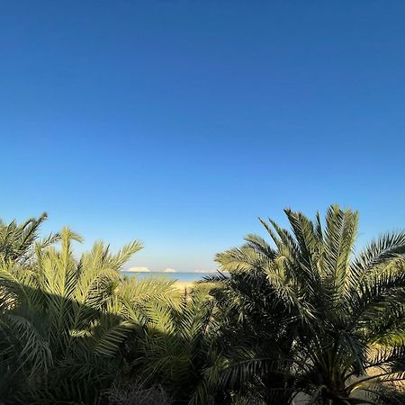 Hotel The Nest Siwa Oasis Esterno foto