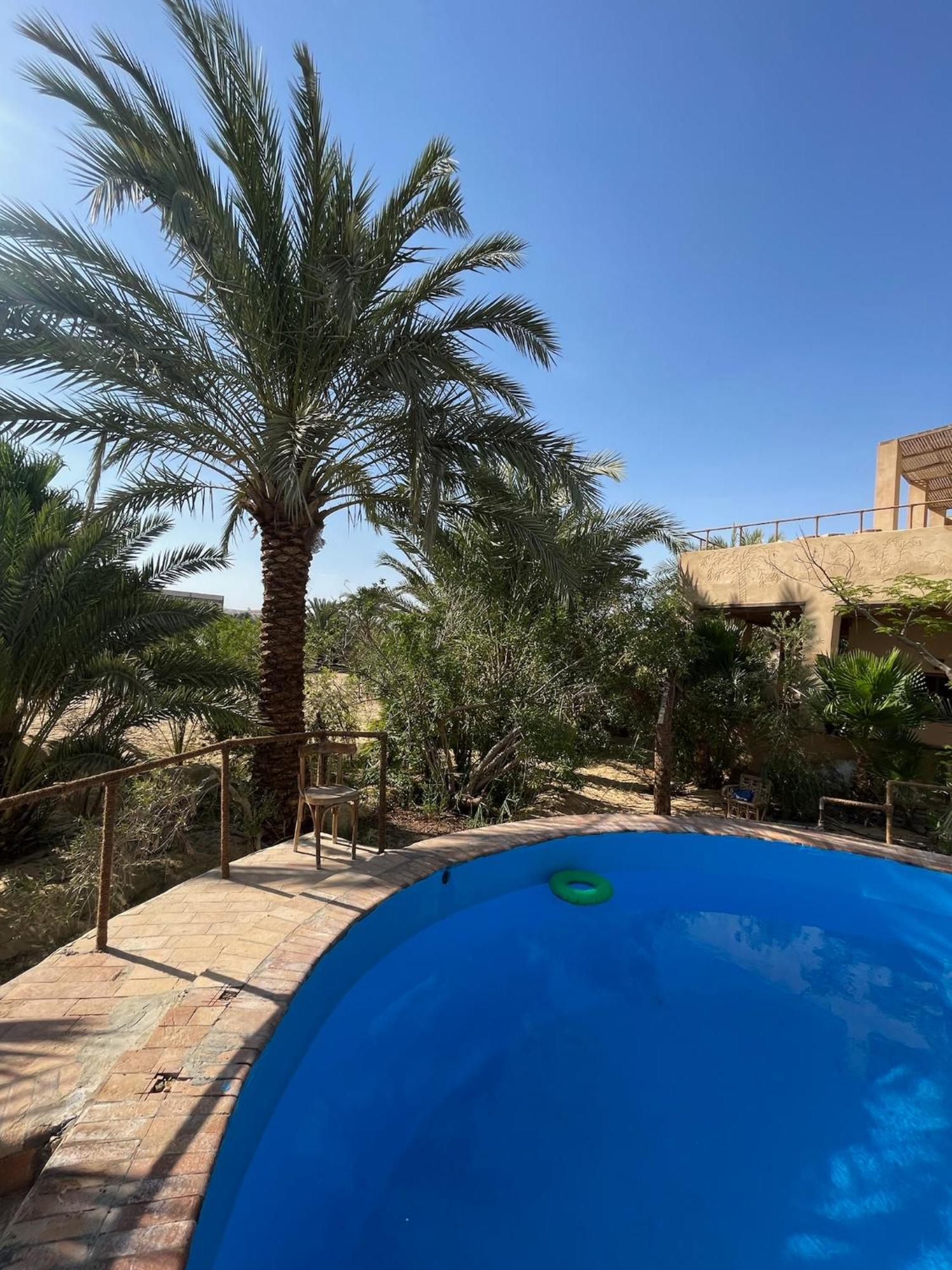 Hotel The Nest Siwa Oasis Esterno foto