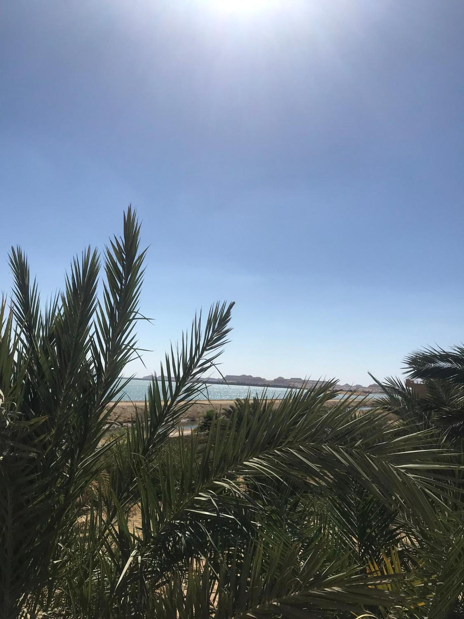 Hotel The Nest Siwa Oasis Esterno foto