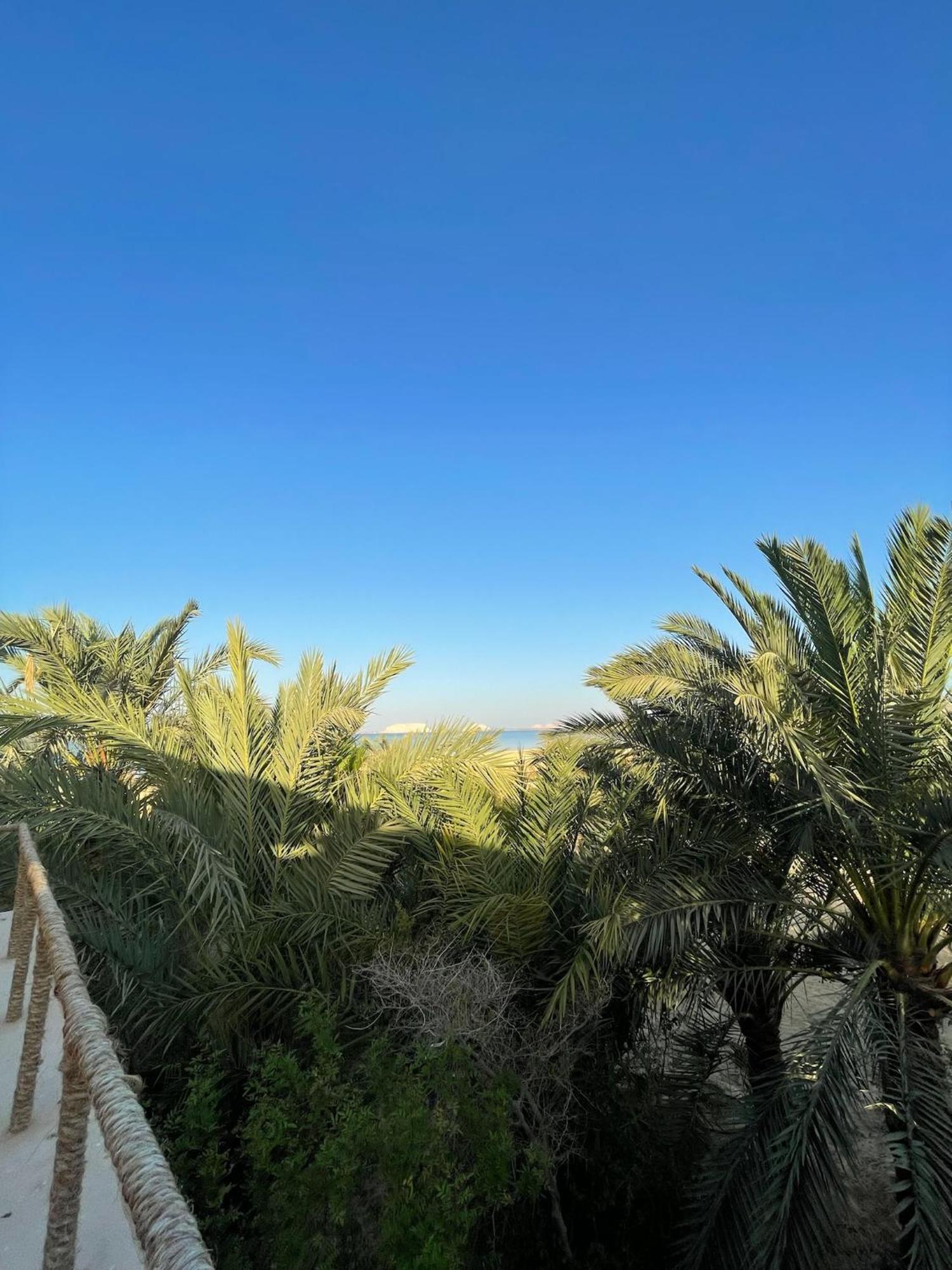 Hotel The Nest Siwa Oasis Esterno foto
