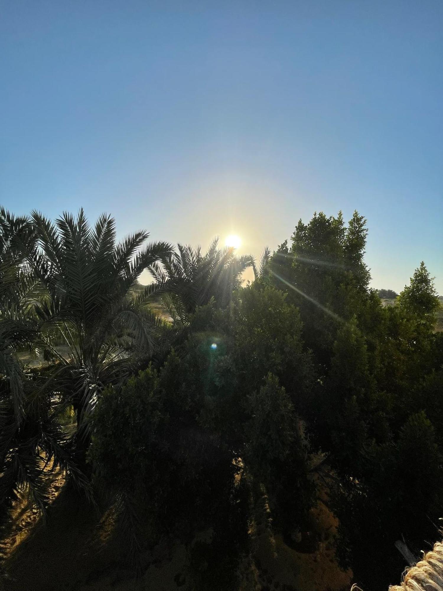 Hotel The Nest Siwa Oasis Esterno foto