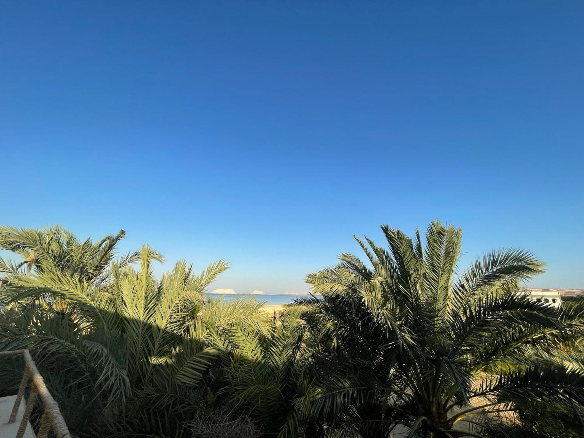 Hotel The Nest Siwa Oasis Esterno foto
