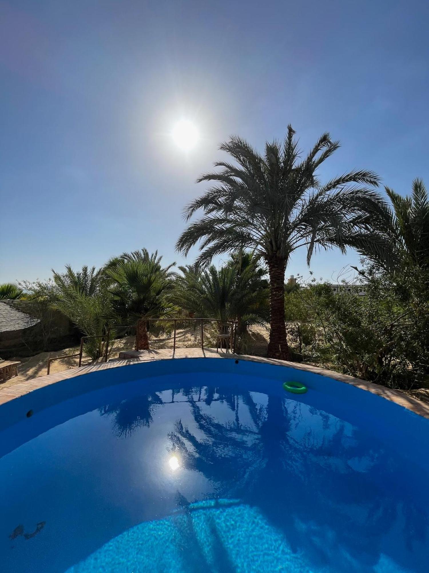 Hotel The Nest Siwa Oasis Esterno foto