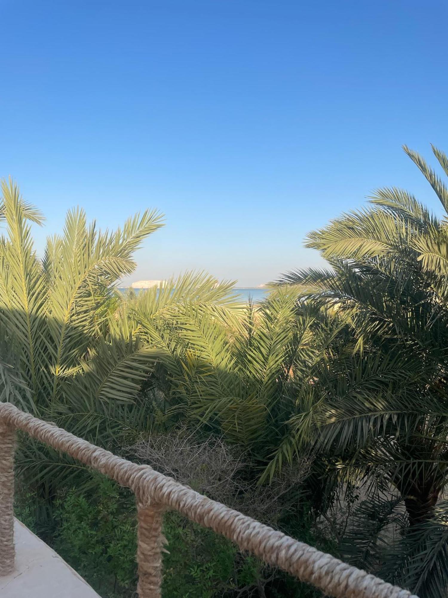Hotel The Nest Siwa Oasis Esterno foto