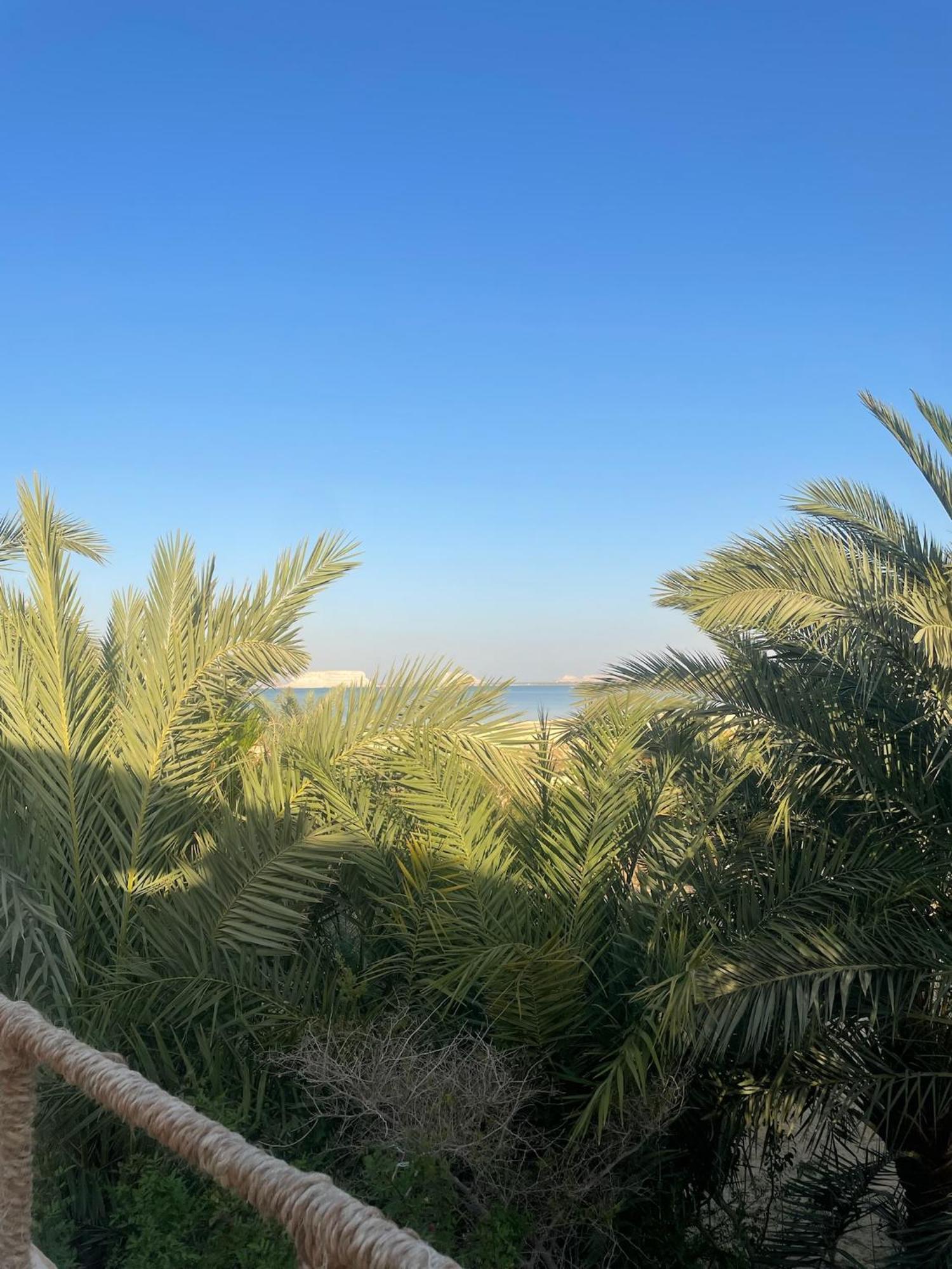 Hotel The Nest Siwa Oasis Esterno foto
